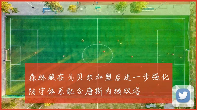 森林狼在戈贝尔加盟后进一步强化防守体系配合唐斯内线双塔